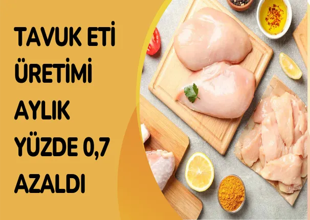 Tavuk eti üretimi aylık yüzde 0,7 azaldı