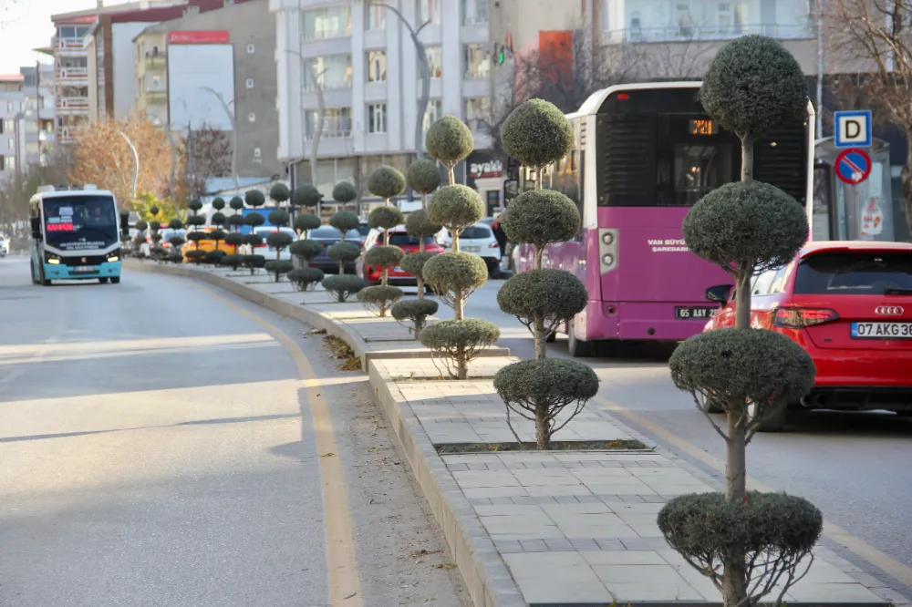 Büyükşehir Belediyesi’nden dekoratif budama 