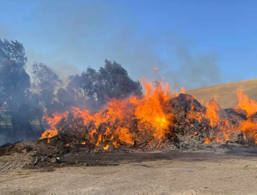 Başkale’de 4 bin bağ ot yandı