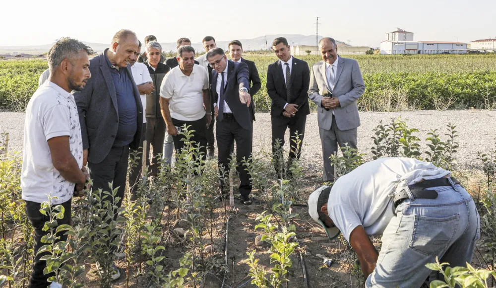 Vali Balcı fidanlık alanında incelemelerde bulundu