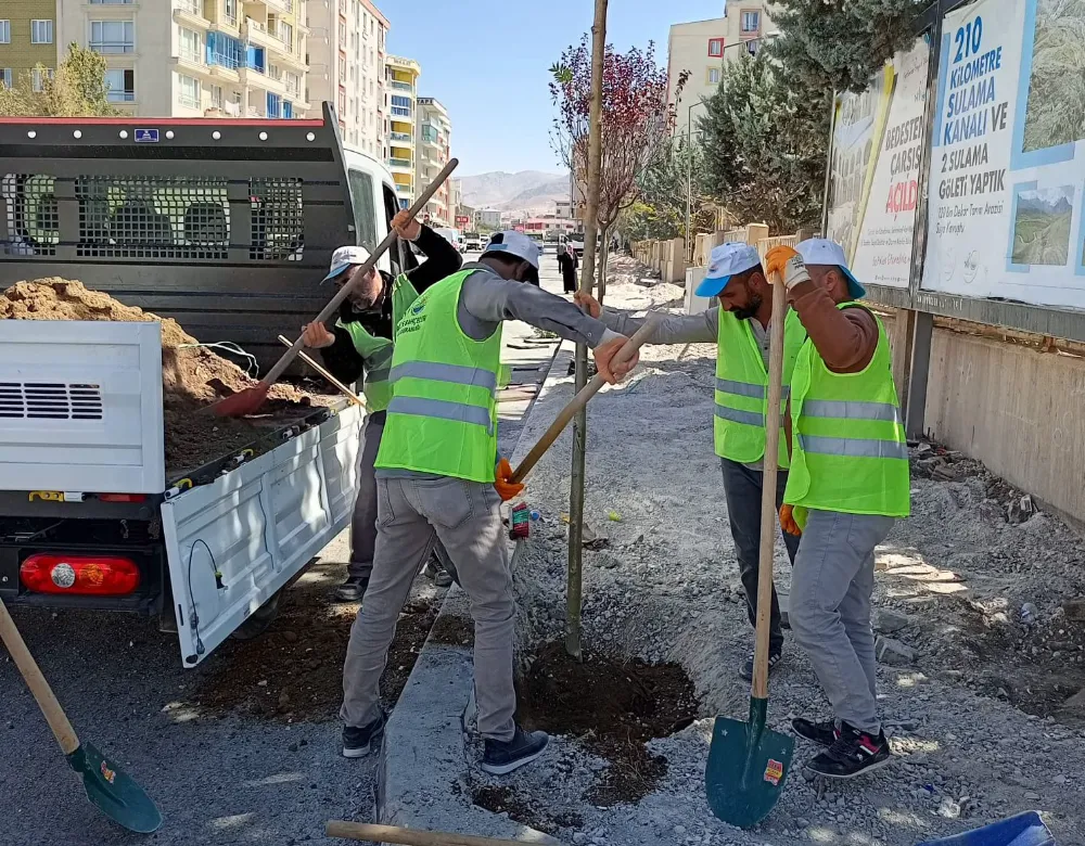 Van Büyükşehir Belediyesi’nden yeşil dönüşüm hamlesi