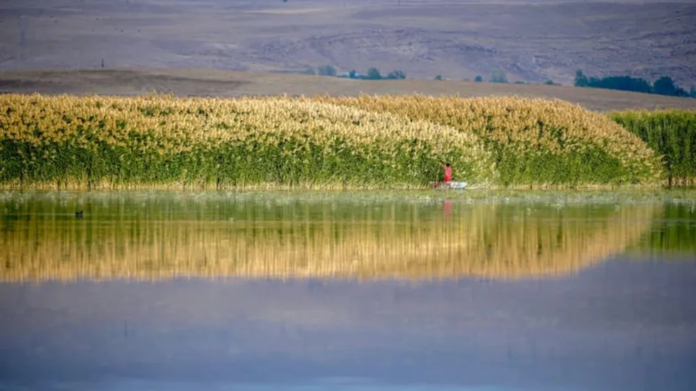 Van’da o noktada balık avı, ateş ve mangal yakmak yasaklandı
