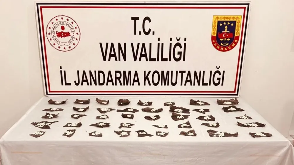 Başkale’de haplara gizlenmiş bonzai ele geçirildi!