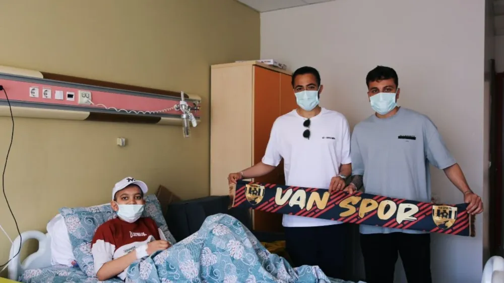 Vanspor