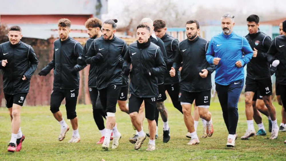 Vanspor
