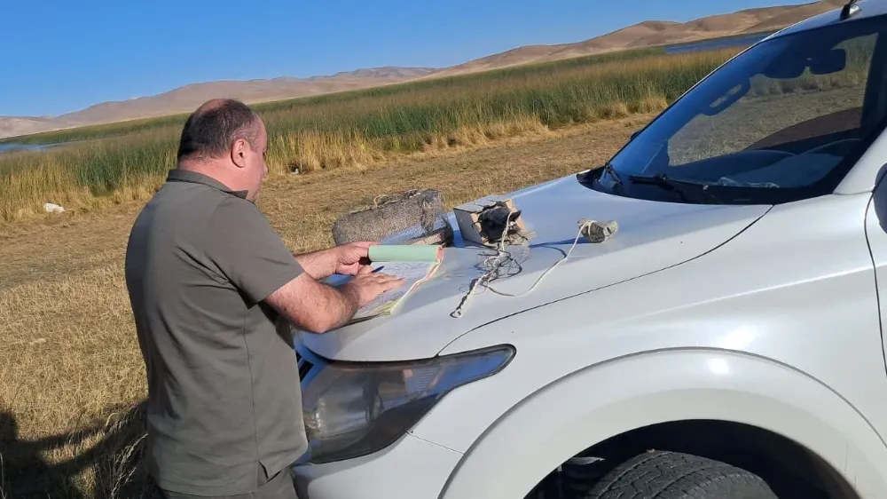 Van’da yırtıcı kuş avına suçüstü